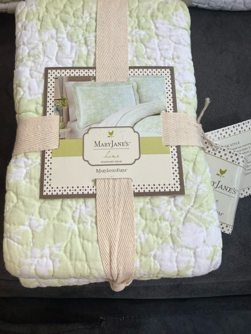 Mary Jane's Light Green Floral Quilted Sham